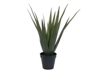 EUROPALMS Aloe vera plant, artificial plant, 60cm, Europalms Aloe vera växt, 60cm