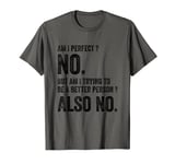 Am I Perfect No T-Shirt