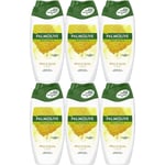 Palmolive Naturals Shower Gel Cream Milk and Honey 250 ml x 6