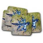 4 Set - Blue Glaucus Coaster - Sea Dragon Angel Slug Pretty Animals Gift #16008