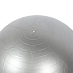 29.5in Exercise Ball PVC Gray 330.7lb Capacity Fitness Ball With Quick Pump