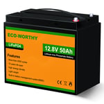 ECO-WORTHY Batterie Lithium Lifepo4 8AH 30AH 50AH 100AH 150AH 280AH 12V