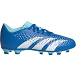 Adidas Predator Accuracy.4 FxG Junior