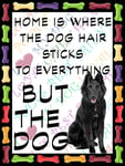 SHAWPRINT Belgian Sheep Dog Fridge Magnet 100mm x 75mm HOME IS WHERE THE DOG HAIR STICKS TO EVERYTHING BUT THE DOG Novelty Gift