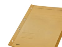 Leitz Cardboard Folder, A4, A4, 250 Ark, 80 Gsm, 238 Mm, 305 Mm, 40 G