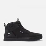 Baskets Timberland  TB0A2DJQ001 - MAPLE GROVE-BLACK