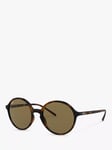 Ray-Ban RB4304 Women's Round Sunglasses