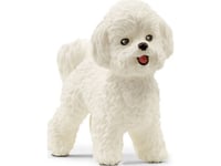 Figur Schleich Schleich 13963 Bichon Frise Hund