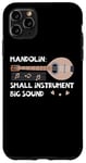 iPhone 11 Pro Max Mandolin Small Instrument Big Sound Mandolin Player Musician Case