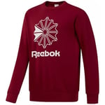 Sweat-shirt Reebok Sport  AC BIG STAR