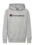 Champion Hooded Sweatshirt Grå