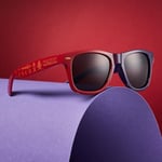 Officially Licensed Masters of the Universe He-Man and Skeletor Sunglasses