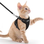 rabbitgoo Harnais Chat Anti-évasion avec Laisse Noir XXS, Harnais Chaton Petit Chien Réglable, Collier Harnais et Laisses pour Chat Refléchissant Attache Dessus Gilet Respirant pour Lapin Chat Chiot