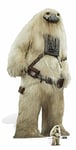 STAR CUTOUTS SC1001 Moroff Rogue One Male Gigoran Mercenary Perfect for Parties, Events and Star Wars Fans Height 193cm, Cardboard, 193 x 93 x 193 cm