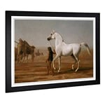 Big Box Art Framed Print of Jacques-Laurent Agasse The Wellesley Grey Arabian Design | Wall Art Picture| Home Decor for Kitchen, Living Room, Bedroom, Hallway, Black, A2 / 24.5x18 Inch / 62x45cm