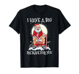 I Have A Big Package Funny Santa Christmas T-Shirt