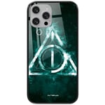 Ert Group Apple iPhone 13 Original & Official Harry Potter Harry Potter 018 Tempered Glass Protective Cover