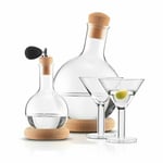 Bodum Vodka & Dry Martini Set with 2 Glasses Clear