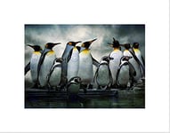 Wee Blue Coo Emperor Penguin Huddle Birds Antarctica Picture Wall Art Print