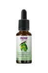 Now Foods - Tamanu Oil, Organic - 30 ml