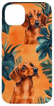 Coque pour iPhone 14 Plus Aquarelle orange motif teckel tropical