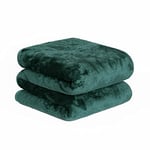 Dreamscene Mink Faux Fur Throw Blankets for Bed, Warm Blankets for Winter Sofa Throw Soft, Large Blanket Comfy Travel Thick Blanket, Emerald Green 200 x 240cm