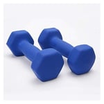 Shengluu Weights Dumbbells Sets Women Cast Iron Hex Dumbbell Exercise Weights For Core And Strength Training (Color : Blue, Size : 2kg*2)