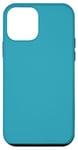 Coque pour iPhone 12 mini Bleu