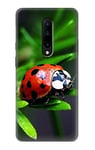 Ladybug Case Cover For OnePlus 7 Pro