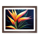 The Bird Of Paradise Flower Vol.2 H1022 Framed Print for Living Room Bedroom Home Office Décor, Wall Art Picture Ready to Hang, Walnut A2 Frame (64 x 46 cm)