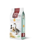 Hobby First DUCK 3 PELLET