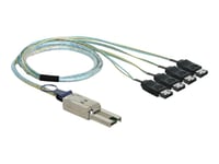 Delock - Sata/Sas-Kabel - 4-Spors - Esata (Hunn) Til 26-Pin 4X Shielded Mini Multilane Sas (Sff-8088) (Hann) - 1 M