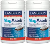 Lamberts Magasorb Magnesium Powder 375mg (As Citrate) 165g Powder X 2