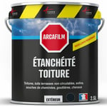 Arcane Industries - tanchéité Toiture : Peinture arcafilm - Résine Etanchéité pour Tuile 2.5 l Ardoise