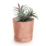 Botle Pot De Fleur Rond Terre Cuite Marron Plastique Beton Effect Cache Pot 32,6 Cm Decoratif Bac A Plantes Avec Soucoupe Fleurs