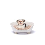 Ferplast Dog Bed & Cat Bed with Cotton Cushion, Raised Dog Bed, cPlastic Dog Bed Small, Dog Bed Washable, Dog Basket, Cat Basket, Breathable & Antislip, THRONE 61,5 x 45 x h 26 cm, White