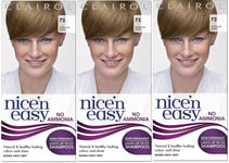 Clairol Nice'n Easy Demi-Permanent Hair Dye No Ammonia, 73 Medium Ash Blonde x 3