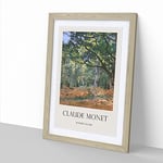 The Bodmer Oak Tree By Claude Monet Exhibition Museum Painting Framed Wall Art Print, Ready to Hang Picture for Living Room Bedroom Home Office Décor, Oak A2 (64 x 46 cm)