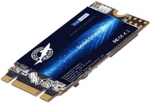 SSD M.2 2242 60Go Ngff à l'intérieur De l'actionneur à Solide De Haute Performance De Lecteur De Disque Dur Comprend Un 240Go 250Go 480Go 500Go(60GB, M.2 2242)