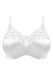 Elomi Cate EL4033WHE White Full Soft Cup Bra Plus Size Lingerie Size 42DD- NEW