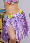 Adult Size Womens Short Purple Hula Grass Skirt Tropical Hawaiian Fancy Dress