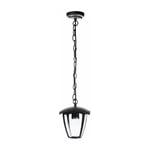 Optonica - Lanterne Suspendue Noire Douille E27 IP44