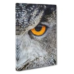 Eye of an Owl Canvas Print for Living Room Bedroom Home Office Décor, Wall Art Picture Ready to Hang, 30 x 20 Inch (76 x 50 cm)