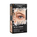 L'Oréal Paris, Semi-Permanent Eyebrow Tint, Lasts up to 5 Weeks, Visible Results in 5 Minutes, Up to 10 Uses, Ammonia Free, Brow colour, Shade: 7.0 Dark Blonde