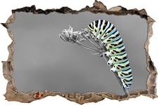 pixxp Rint 3D WD 4915 _ 92 x 62 Chenille Verte sur Une Branche Insectes Jungle Animaux percée 3D Sticker Mural Mural en Vinyle, Noir/Blanc, 92 x 62 x 0,02 cm