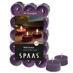 SPAAS 30 Clearlights parfumées, bougies chauffe-plats cup transparente, ± 4,5 heures - Wild Orchid, Aubergine