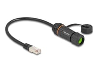 Delock Kabel Rj45 Plugg Til Rj45 Kontakt Cat.6A For Installasjon Med M20 Gjenger Og Hus Ip68 Støv- Og Vanntett 25 Cm