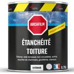 Arcane Industries - tanchéité Toiture : Peinture arcafilm - Résine Etanchéité pour Tuile 0.75 l Gris