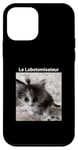 Coque pour iPhone 12 mini evillarry larry chat meme brainrot lobotomisateur mastermind