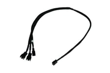 Phobya 81125, 0,6 M, Molex (3-Stift), Hane/Hona, Svart